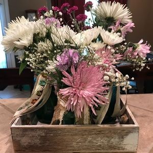 Meet your Posher, Lucy